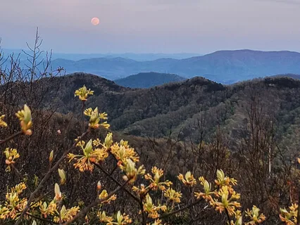 Holding Space For The Pause