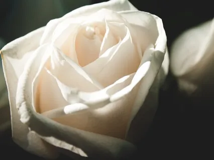 Holding Space For The World