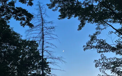 Holding Space For You - Five Minute Meditation