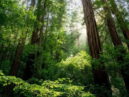 Holding The God In You