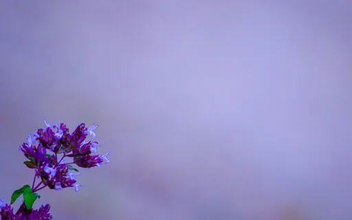 Holding The High Watch