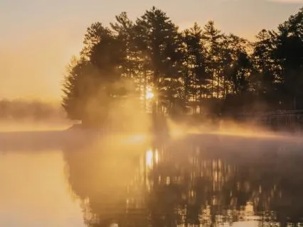 Holding Your Feelings With Gentleness