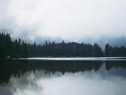 Making Space For Grief (Talk & Meditation)