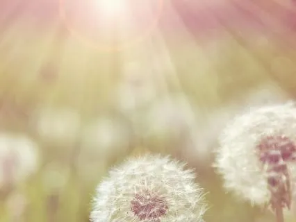 Holding Yourself Through Grief