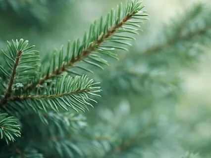 Holiday Emotions Series 1- Acknowledge Your Emotions