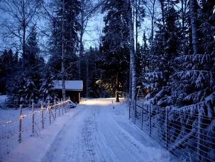 Holiday Loneliness Or Grief