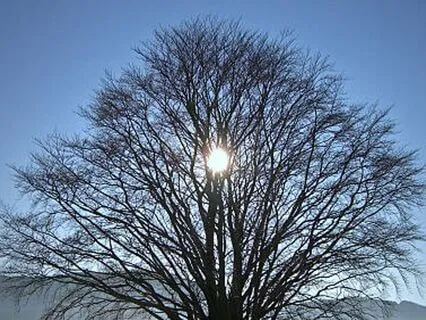 Holiday & New Year Meditation: Connect With Your Higher Self