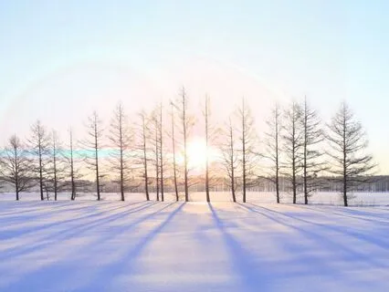 Holiday Season Peace And Stress Relief