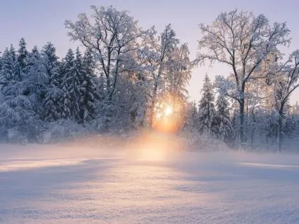 Holiday Stress Relief Meditation For Calm & Grounding