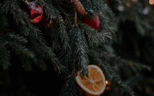 Holiday Stress Relief Meditation | The Healing Snow Globe