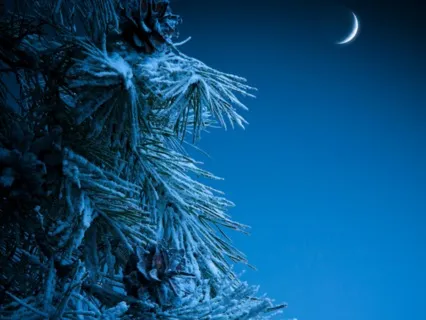 Holiday Stress Relief