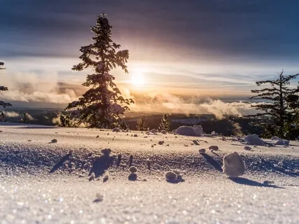 Holiday Wisdom Affirmations