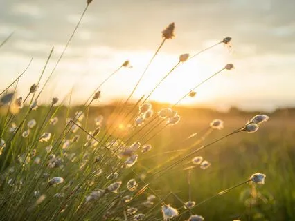 Holistic Flow Meditation: Your Path To Self-Healing