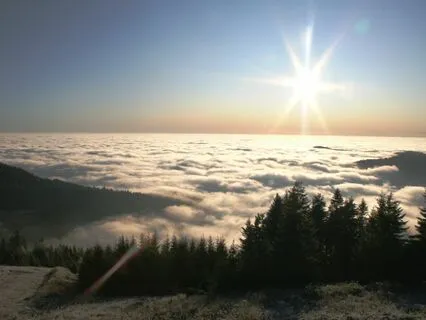 Holistic Flow Morning Meditation For Deep Inner Healing