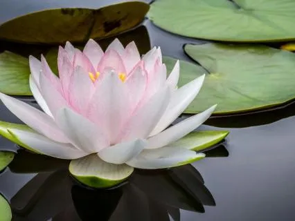 Holistic Healing - Let's Get Physical