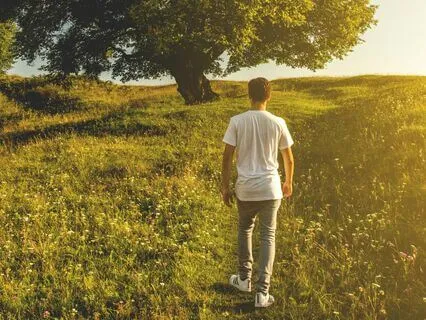 Holistic Journey, A Soothing Piano Serenity & Balance 432 Hz