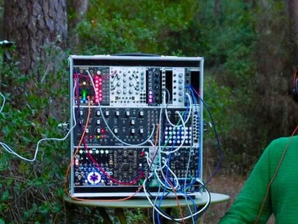 Holly – 432 Hz Healing Music With Plants