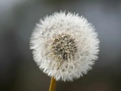 Hologram Music (Embracing Life)