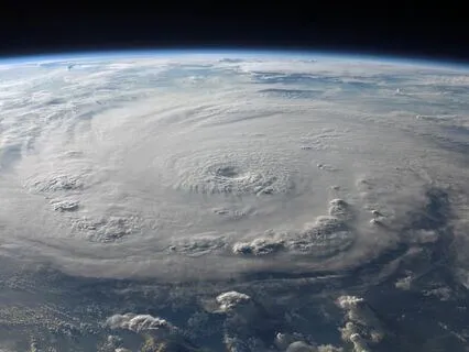 Holosounds: Earth Year