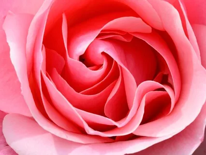 Holy Mother Affirmations & Toning Track