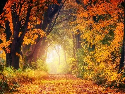 Holy Spirit Guide Me