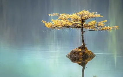 Home Base 25 Minutes