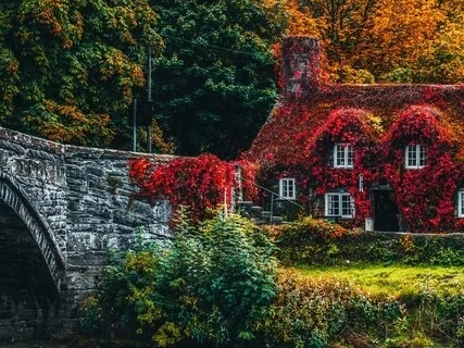 Home Shelter Week 1: Hopes And Fears