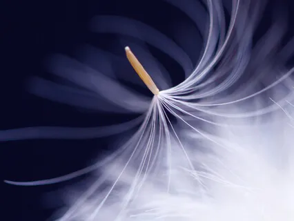 Home Shelter Week 4: Opening Our Hearts