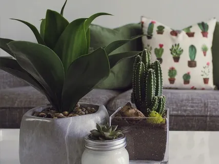 Home Shelter Week 5: Taking Care Of Ourselves