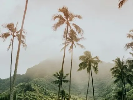 Home Sweet Hawaii - Spoken Word