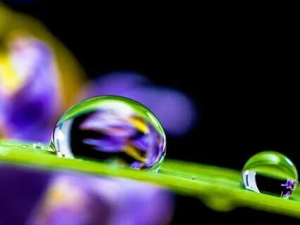 Hone Your Power Of Manifestation