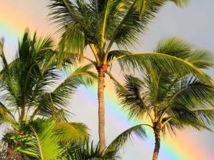 Honesty: Speaking The Truth Of Who You Are