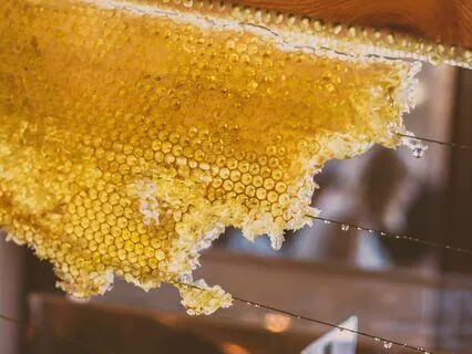 Honey Yoga Nidra For Interconnection And Nourishment