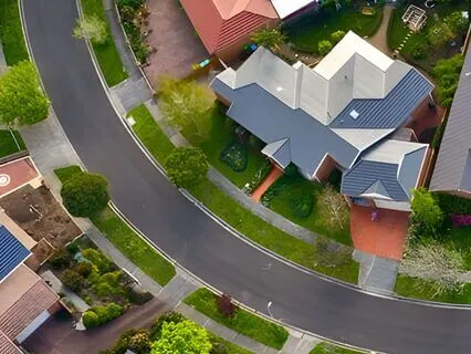 Honeybee Neighborhood Census (Bedtime Story)