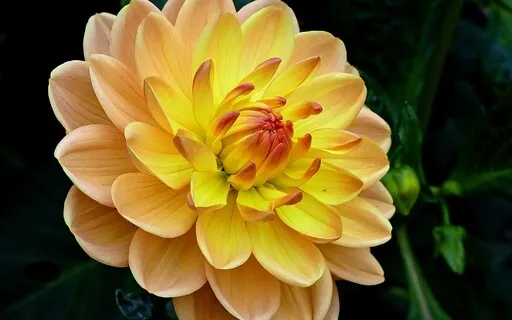 The Soul's Call For Wholeness