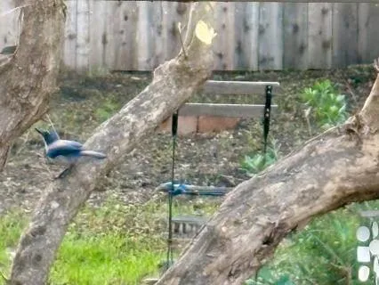 Honoring Commitments To Yourself:  A Meditation