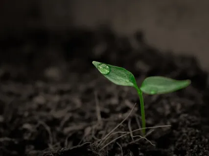 Honoring Grief In The Workplace With R. Glenn Kelly