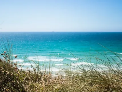 Honoring Impermanence