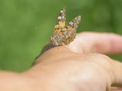 Honoring Our Feelings Of Loss