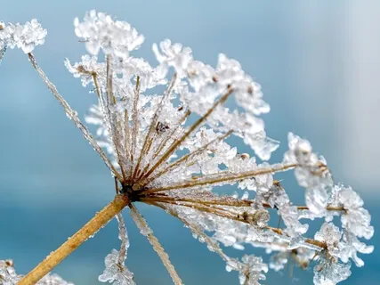 Honoring Our Internal Winters