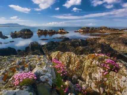 Honoring The Four Elements - A Celtic Mantra Blessing