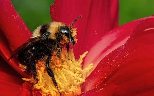 Honoring The Need For Rest After A Big Push Or Deadline