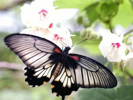 Honoring The Phase You Are Currently In Meditation