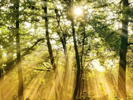 Honoring The Sun – Ceremony & Guided Practice