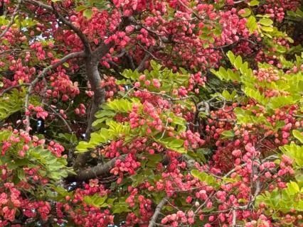 Honoring What's Most Important In Your Life