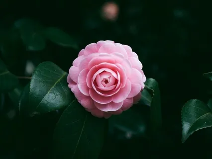 Honoring Who You Are As You Are