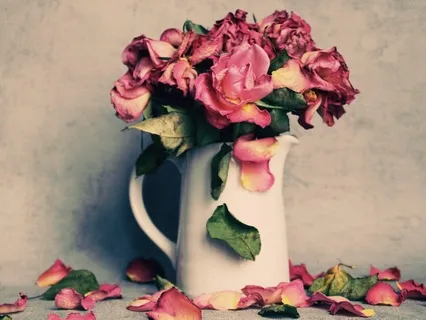 Honoring Your Grief In Infertility