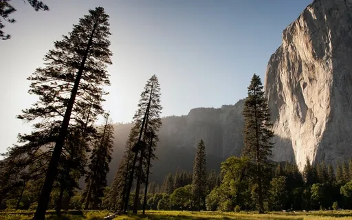 Honoring Your Resistance