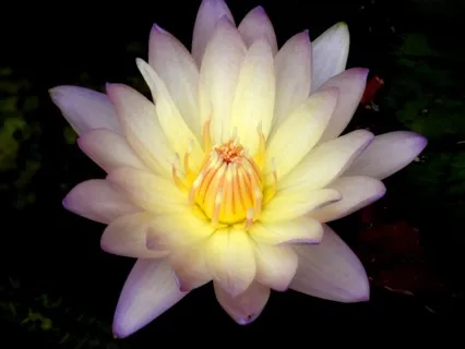 Honoring Your Soul & Inner Light