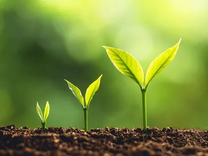 Honoring Your Stage Of Growth